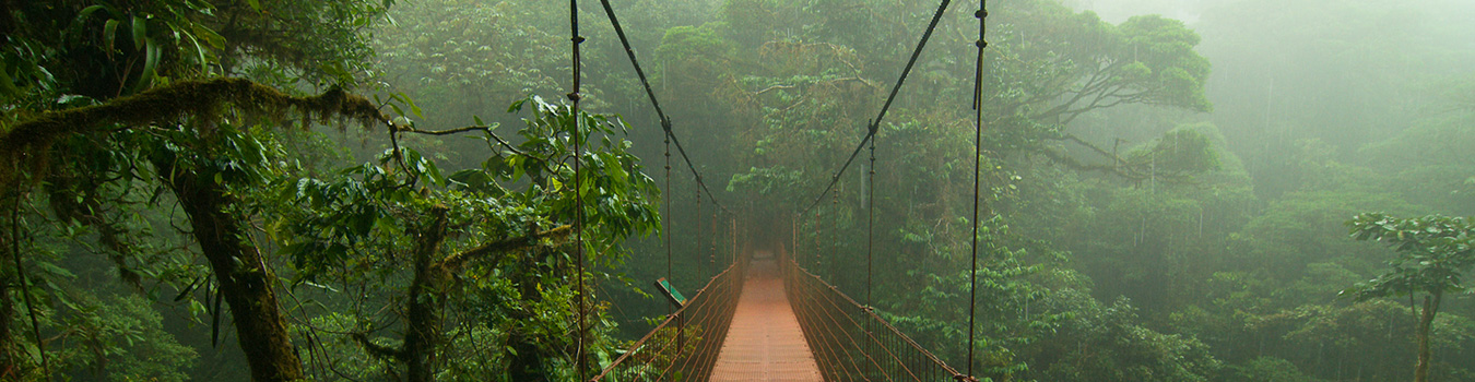 Turismo De Aventura Costa Rica Bosque Nuboso Monteverde